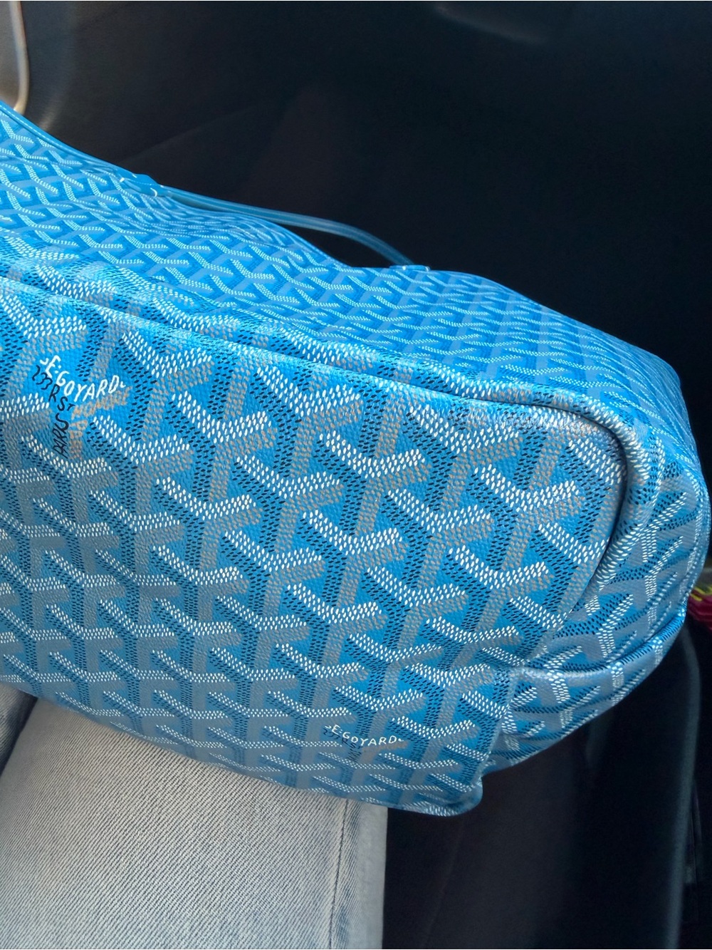 GOYARD  Saint  Louis pm tote :Designer Style - Picture 5 of 8
